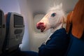 Strange young man in funny mask travels by plane. Royalty Free Stock Photo