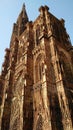 Strasbourg Cathedral in Sunlight