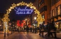 Strasbourg- Christmas Capital Royalty Free Stock Photo