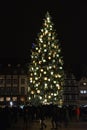 Strasbourg Christmas tree, Place KlÃÂ©ber Royalty Free Stock Photo