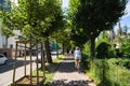 Rear view of single woman cycling on the French street with tall green trees and