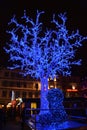 Strasbourg Iceland Christmas market Tree