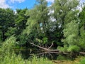 Strasburg Creek Reflections