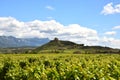 Vineyard landscape with ruins of the Davalillo Castle. Royalty Free Stock Photo