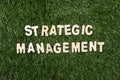 Strategic Management Wooden Sign On Grass