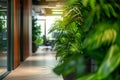 Strategically placed indoor plants create inviting office plantscape background Royalty Free Stock Photo