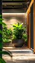 Strategically placed indoor plants create inviting office plantscape background Royalty Free Stock Photo