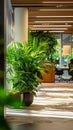 Strategically placed indoor plants create inviting office plantscape background Royalty Free Stock Photo