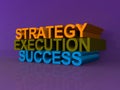 Strategy, execution and success