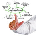 Components of Strategy Implementation