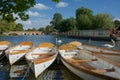 Stratford-upon-Avon. Swans and rowing boats Royalty Free Stock Photo