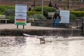 Mother and young boy look on as swan runs along the water creating a flap