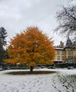 Stratford Shakespearean Gardens