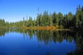 Strathcona Provincial Park, Vancouver Island, Fall Colours Reflected in Peaceful Drabble Lakes, British Columbia, Canada Royalty Free Stock Photo