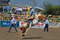 Strathmore Stampede , Alberta , Canada Royalty Free Stock Photo