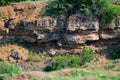 A stratigraphic section of Miocene shell limestone Royalty Free Stock Photo