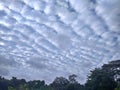 Stratocumulus clouds