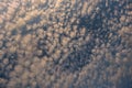 Stratocumulus clouds flat background