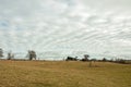 Stratocumulus clouds in a meadow in springtime.