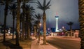 Stratosphere hotel and palm trees in las vegas