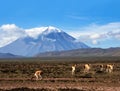 Stratovolcano El Misti, Arequipa, Peru Royalty Free Stock Photo