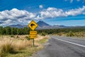 Stratovolcano Mount Ngauruhoe