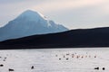 Stratovolcano Sajama under Chungara lake