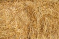 Straw as background Royalty Free Stock Photo