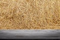 Straw hay backdrop and wood plank, straw wall, straw background texture, wooden floor plank table empty on dry rice straw wall Royalty Free Stock Photo