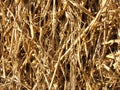 Straw Background