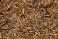 Straw background. Dry straw, hay straw yellow background texture Royalty Free Stock Photo