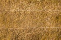 Straw background texture, Royalty Free Stock Photo
