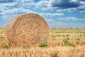 Round straw bales on farmland, straw rolls on farmer field and dramatic cloudy sky, beatiful landscape after harvest Royalty Free Stock Photo