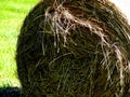 Straw bale Royalty Free Stock Photo