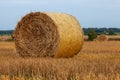 Straw bale close up in the field