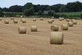 Hay bales in a field with trees and meadows in Yorkshire UK