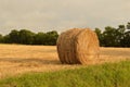 Round hay bale in field Royalty Free Stock Photo