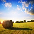 Straw bale on meadow at sunset.