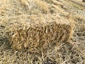 straw bale rectangular in field Royalty Free Stock Photo