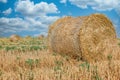 Straw bale, straw rolls on farmer field in the summer Royalty Free Stock Photo