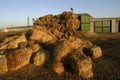 Straw bales Royalty Free Stock Photo