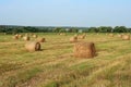 Straw bales amongst fields Royalty Free Stock Photo