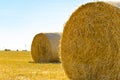 Straw Bales on the Bright Yellow Field under Blue Sky. Royalty Free Stock Photo