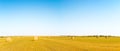 Straw Bales on the Bright Yellow Field under Blue Sky. Royalty Free Stock Photo