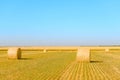 Straw Bales on the Bright Yellow Field under Blue Sky. Royalty Free Stock Photo