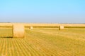 Straw Bales on the Bright Yellow Field under Blue Sky. Royalty Free Stock Photo