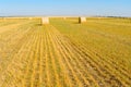 Straw Bales on the Bright Yellow Field under Blue Sky. Royalty Free Stock Photo