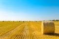Straw Bales on the Bright Yellow Field under Blue Sky. Wind Generator Turbines on the Background Royalty Free Stock Photo