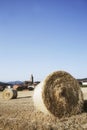 Straw bales on corn fields after harvest Royalty Free Stock Photo