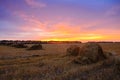 Straw bales on farmland field with pink sunset sky Royalty Free Stock Photo